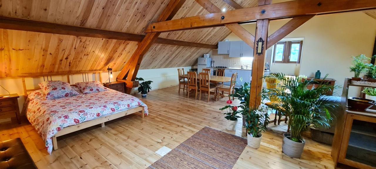 Loft Mansarde Du Train Jaune Avec Vue Sur Les Montagnes 사일라구즈 외부 사진